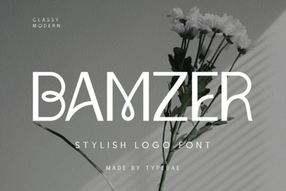 Bamzer: A Sans Serif Font That Breathes Quiet Confidence