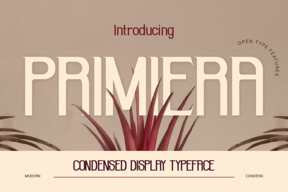 Primiera: A Sans Serif Font That Cuts Through the Feed