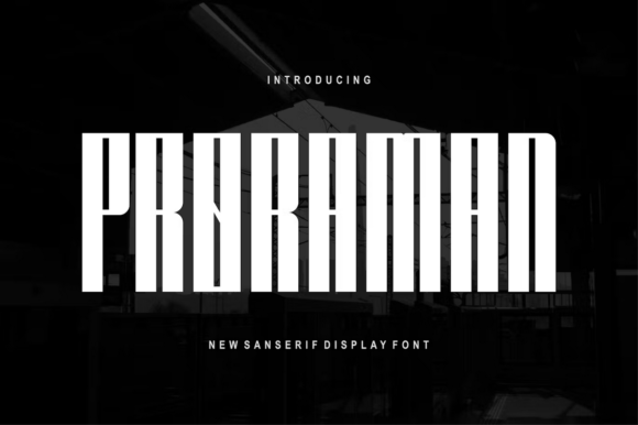 Proraman: A Bold Sans Serif Font for Modern Web Design