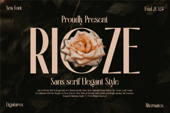 Rioze: A Clean Sans Serif Font for Modern Web Design