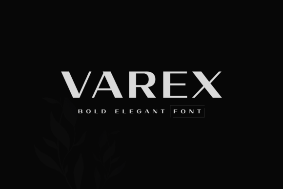Varex: A Sophisticated Sans Serif for Small Business Branding